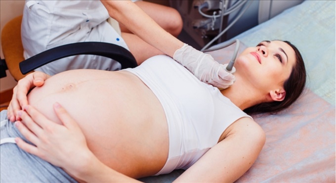 Οι κίνδυνοι από τη δυσλειτουργία του θυρεοειδούς στην εγκυμοσύνη. 7 Απριλίου - Παγκόσμια Ημέρα Υγείας